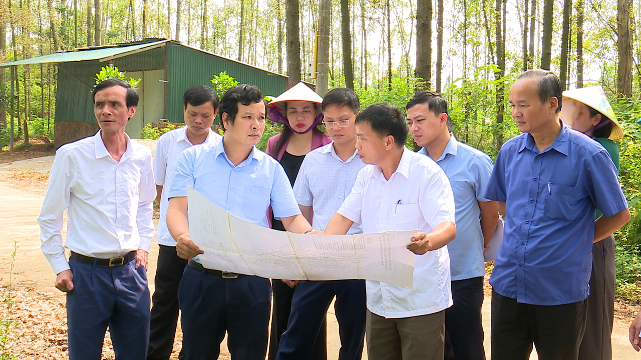 Đoàn công tác của huyện Phù Ninh kiểm tra tình hình phát triển kinh tế - xã hội 9 tháng đầu năm 2024, tại xã Phù Ninh